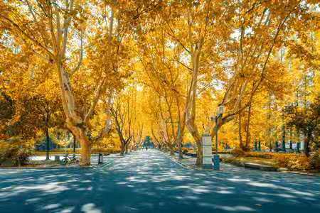 首都經(jīng)濟(jì)貿(mào)易大學(xué)高級研修班