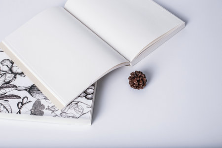 南開大學MPAcc專業學費情況