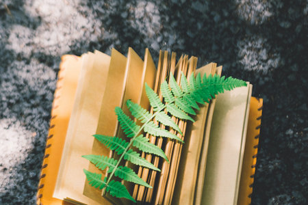 中國科學院心理研究所同等學力申碩考試通過率