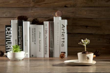 中國(guó)社會(huì)科學(xué)院研究生院MF報(bào)名流程