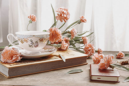 澳洲陽光海岸大學中外合辦