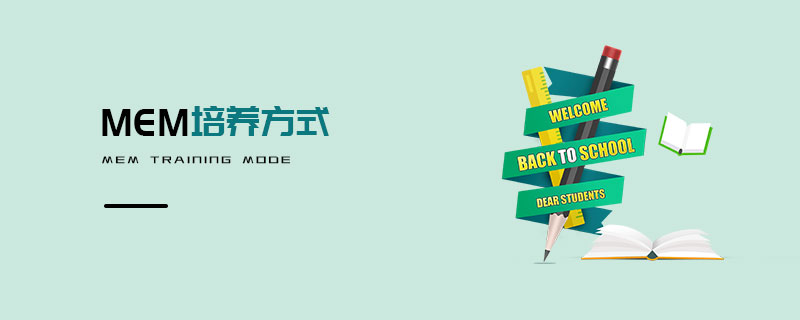 MEM培養方式