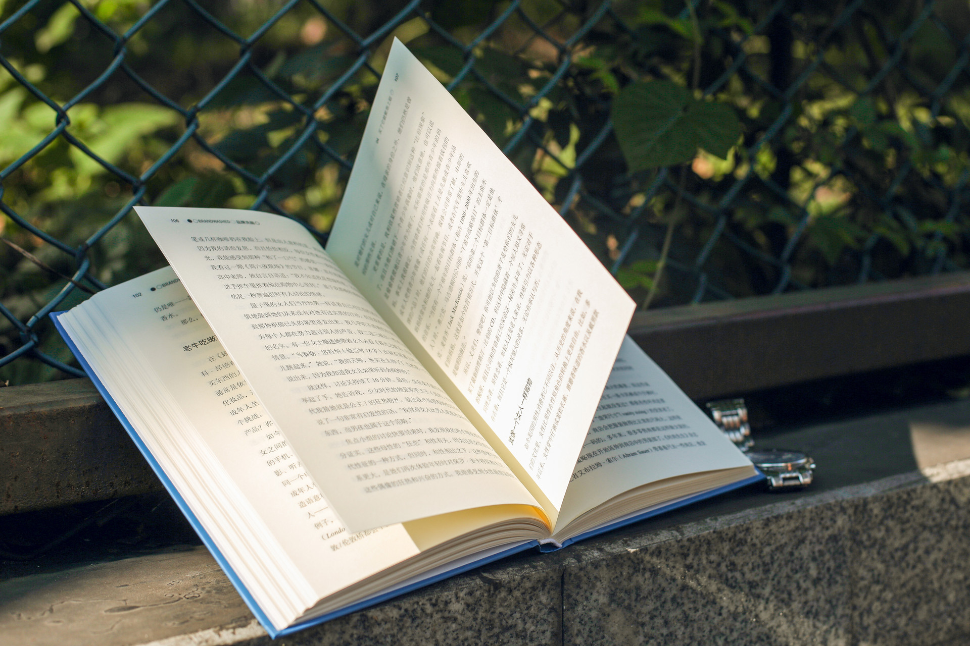 國際法學(xué)在職研究生