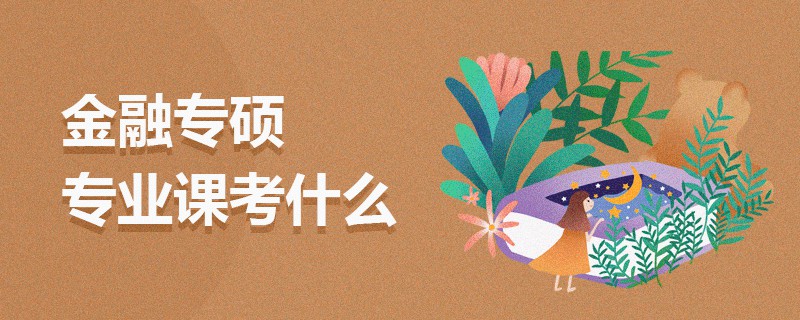 金融專碩專業課考什么