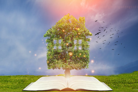 政治學(xué)同等學(xué)力