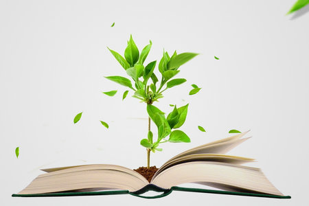 上海同等學(xué)力