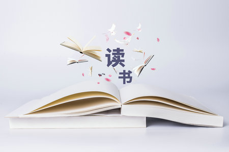 報考上海對外經貿大學專業碩士課程需要多少錢？