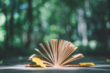 中國科學技術大學非全日制研究生考試時間