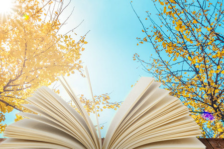 沈陽大學非全日制研究生成績查詢入口