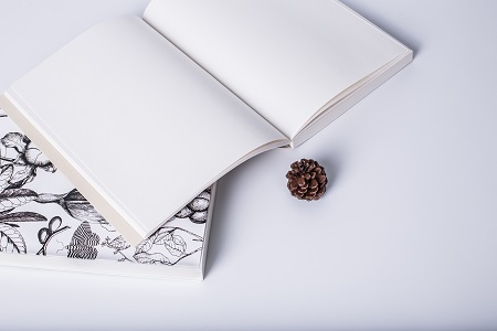 首都經(jīng)濟貿(mào)易大學(xué)專業(yè)碩士畢業(yè)論文要求