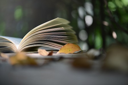 西南交通大學非全日制研究生MBA專業調劑流程