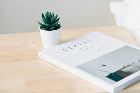 法國布雷斯特商學院國際碩士報考條件