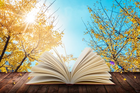 湖南大學在職研究生有沒有教育相關的專業？