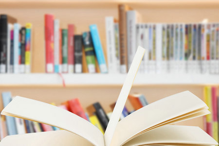 首都經(jīng)濟(jì)貿(mào)易大學(xué)中外合作辦學(xué)報(bào)考條件