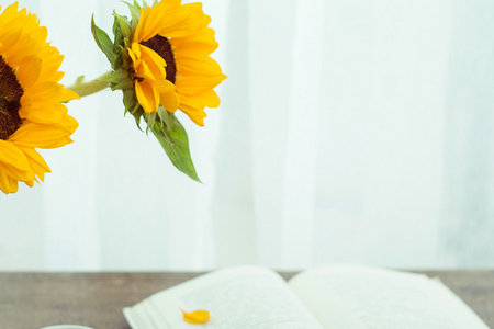 中央財經大學MPA報名及考試時間