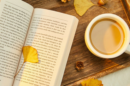 法國南錫高等商學院國際碩士報名及考試時間