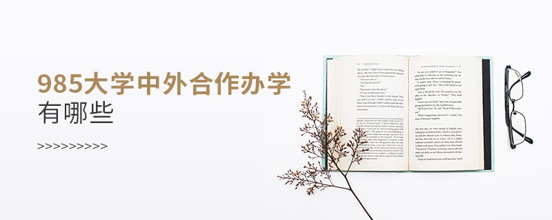 985大學中外合作辦學有哪些