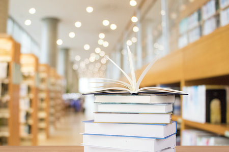 俄羅斯圣彼得堡國(guó)立工業(yè)技術(shù)與設(shè)計(jì)大學(xué)國(guó)際博士學(xué)費(fèi)一覽表