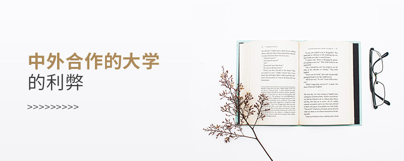 中外合作的大學的利弊