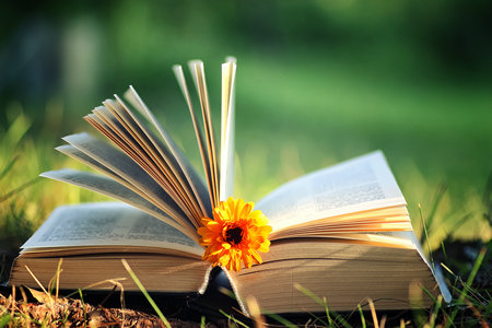 上海財(cái)經(jīng)大學(xué)同等學(xué)力申碩報(bào)考條件