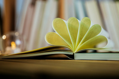 荷蘭商學(xué)院國際碩士報(bào)考條件