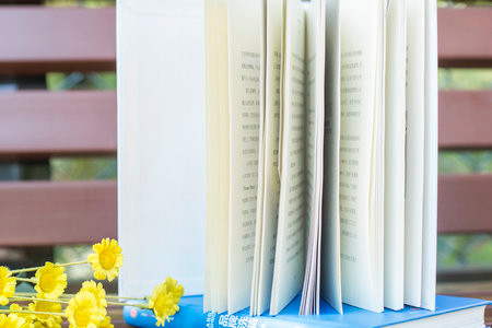 法國尼斯大學國際博士報考條件及相關信息匯總！