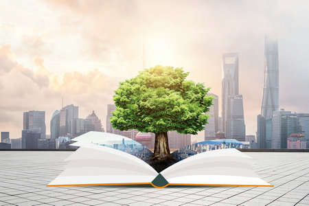 概率論與數理統計在職研究生報名及考試時間