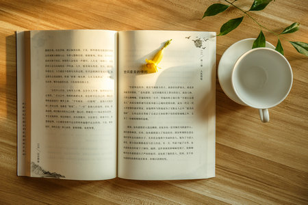 山東建筑大學MEM報考條件