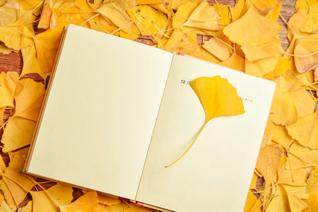 西南政法大學非全日制研究生報名入口2025年