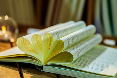 內(nèi)蒙古科技大學(xué)MPAcc報(bào)名入口2025年