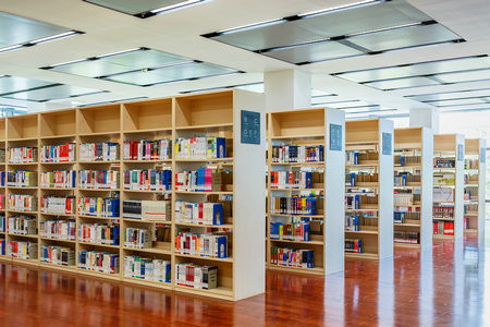 東北財經大學MPA報名入口2025年