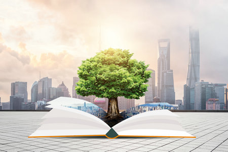 西藏大學(xué)非全日制研究生報考條件