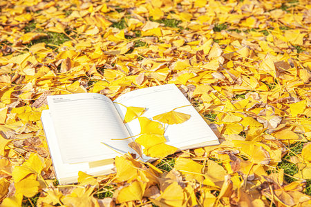 貴州大學(xué)MPA報考條件