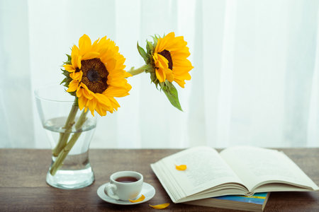 俄羅斯圣彼得堡國立工業(yè)技術與設計大學國際博士報考條件及流程