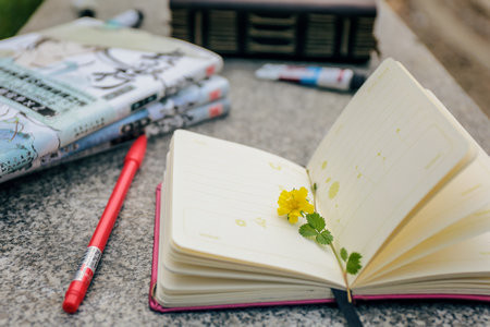 武漢理工大學(xué)MBA報考條件及流程2025年