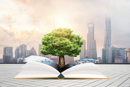 2026東北林業(yè)大學MBA考試考什么科目？