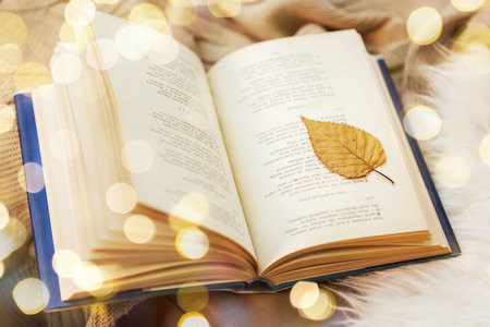 專科可以報考卡米洛何塞塞拉大學(xué)國際碩士嗎？