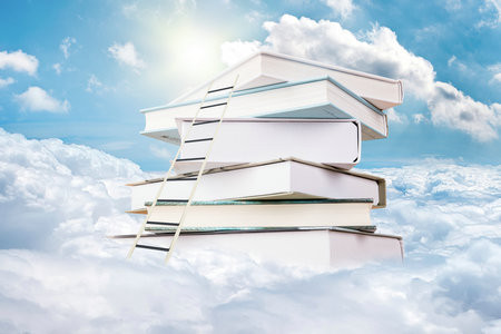 2026內(nèi)蒙古財經(jīng)大學MPA考試考什么科目？