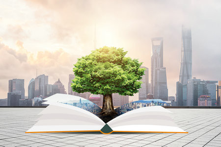 2026美國印第安納大學國際博士考試考什么科目？