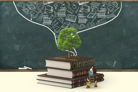 河北經貿大學MEM考試科目 河北經貿大學MEM考試科目