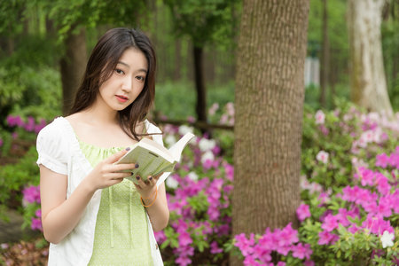 美國伊利諾伊大學不需要復試