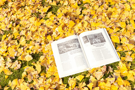 北京師范大學(xué)在職博士復(fù)試