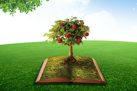 華北理工大學MEM成績什么時候出