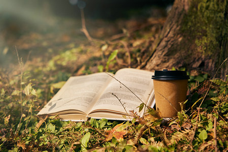 上海交通大學(xué)EMBA分?jǐn)?shù)線