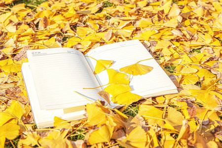 齊魯工業大學非全日制研究生調劑時間一般什么時候？