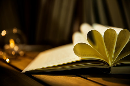 云南大學(xué)MPAcc調(diào)劑條件