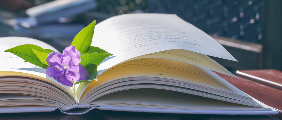 山東大學專業(yè)碩士招生專業(yè)匯總