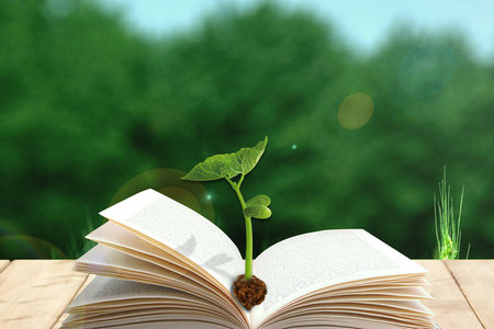 長江商學院在職研究生招生信息