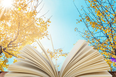 中南林業科技大學同等學力招生時間