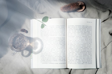 專業推薦！西北政法大學在職研究生熱門招生專業